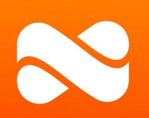 Netspend Logo